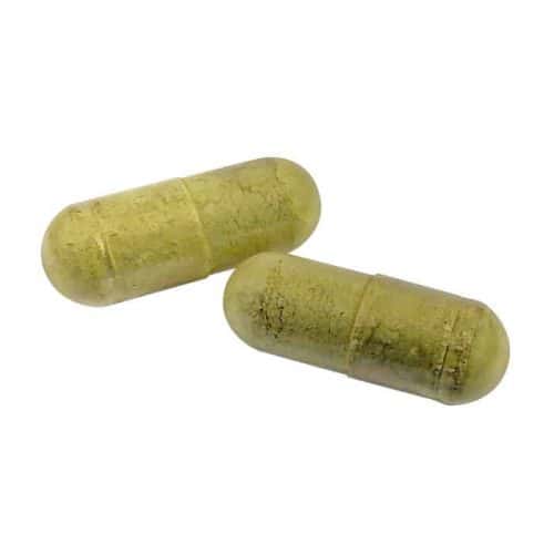 elderberry-e-hist-capsules-seasonal-allergy-support